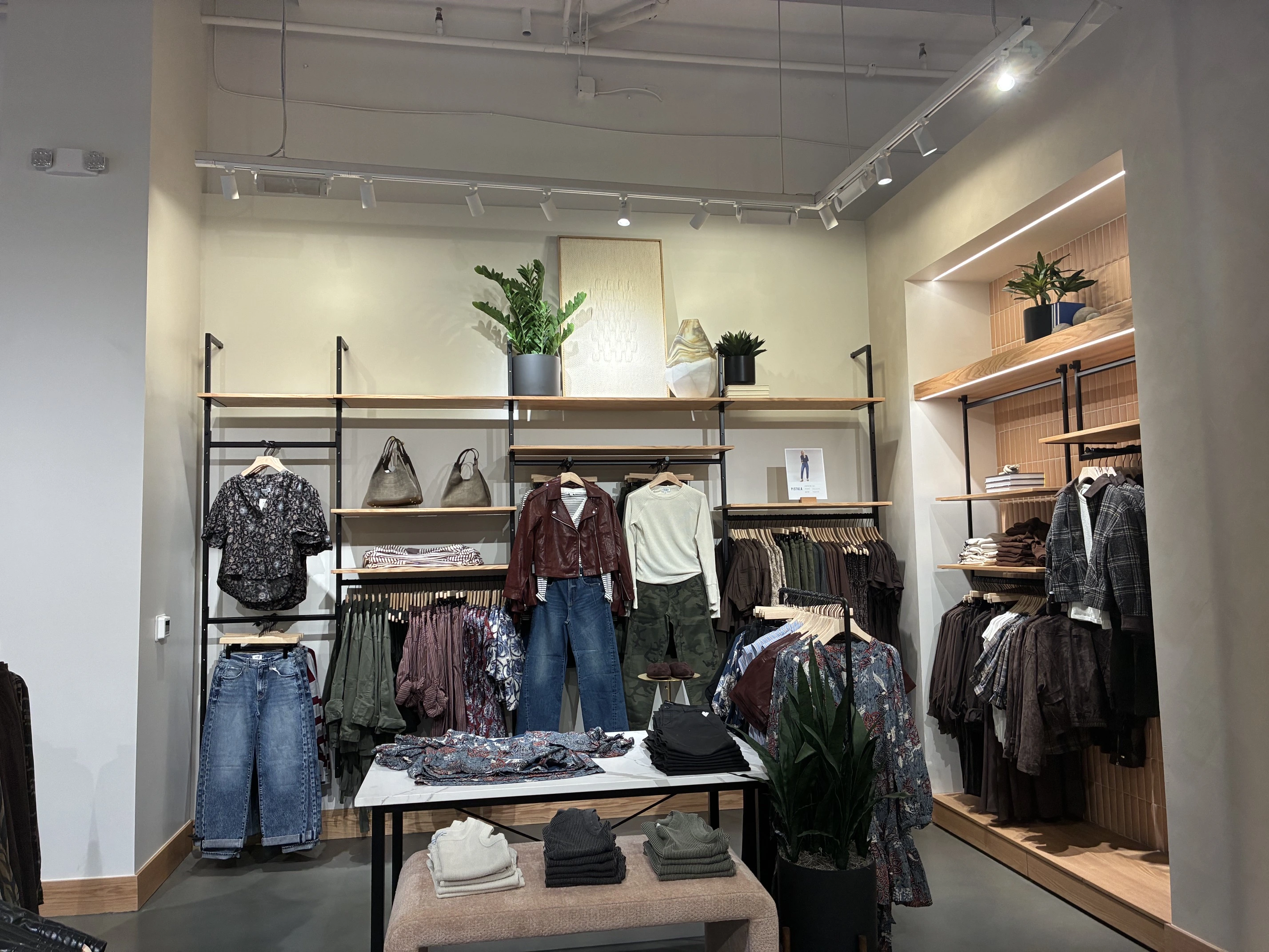 evereve clothing display lighting